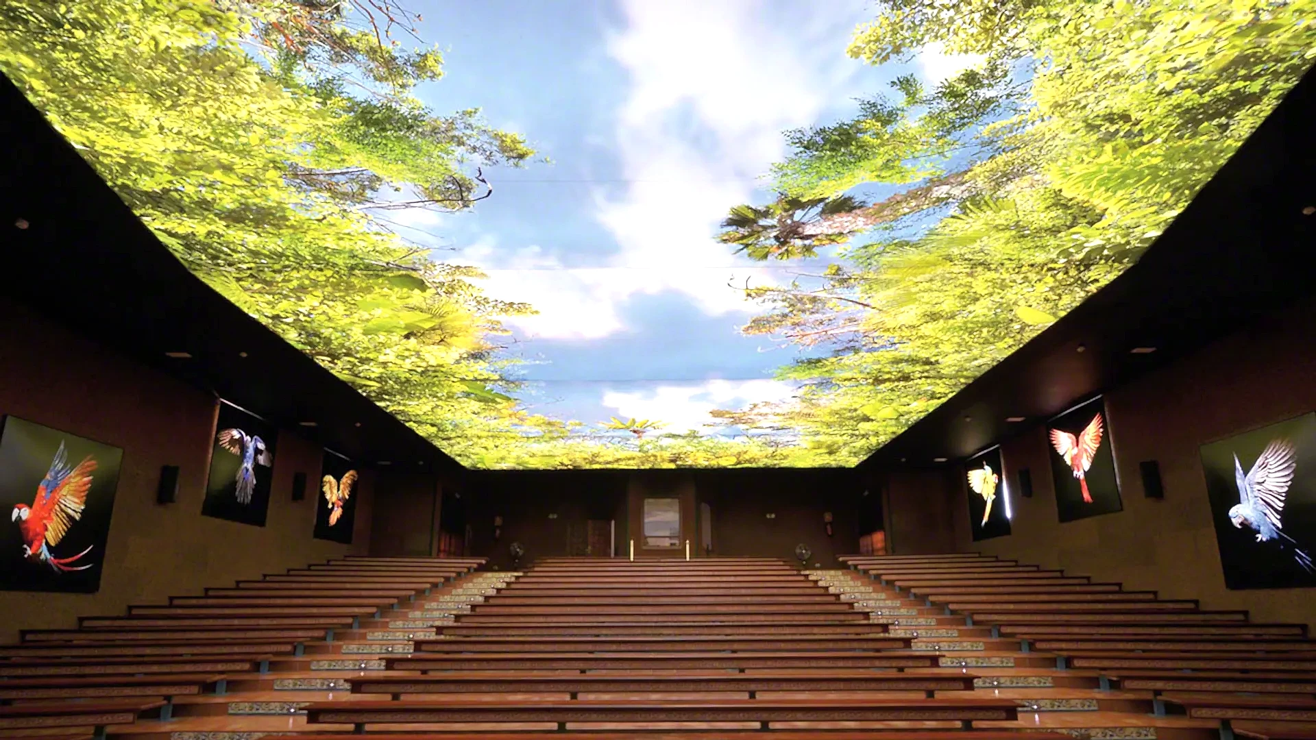 Gergi Tavan - MT LED